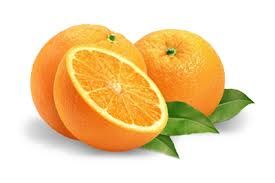 ORANGES FILET 4,500 Kg